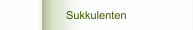 Sukkulenten