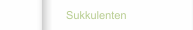 Sukkulenten