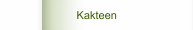 Kakteen