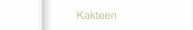 Kakteen