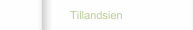 Tillandsien