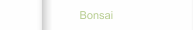 Bonsai