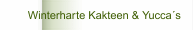      Winterharte Kakteen & Yucca´s