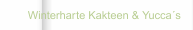      Winterharte Kakteen & Yucca´s